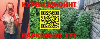 крисы Малоярославец